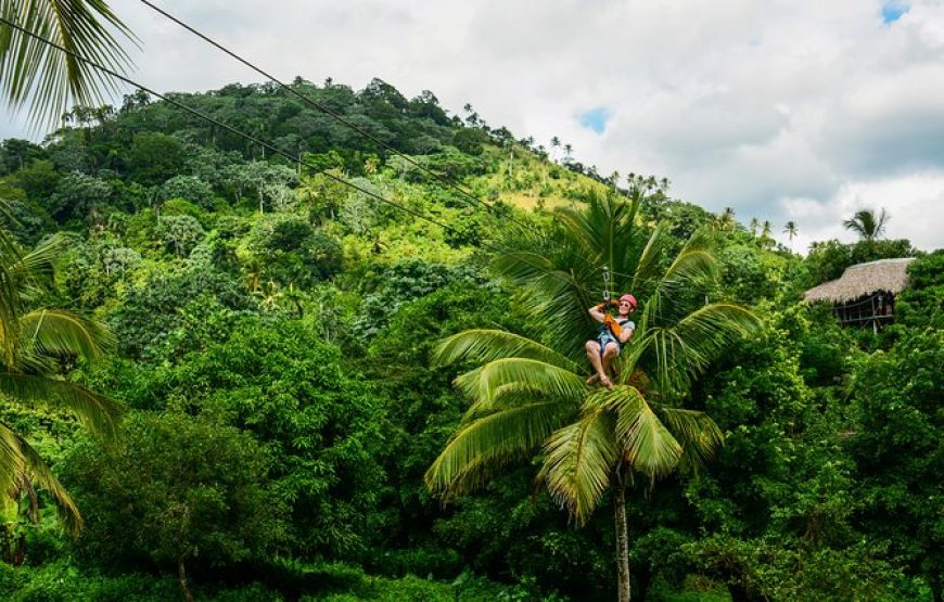 ZipLine